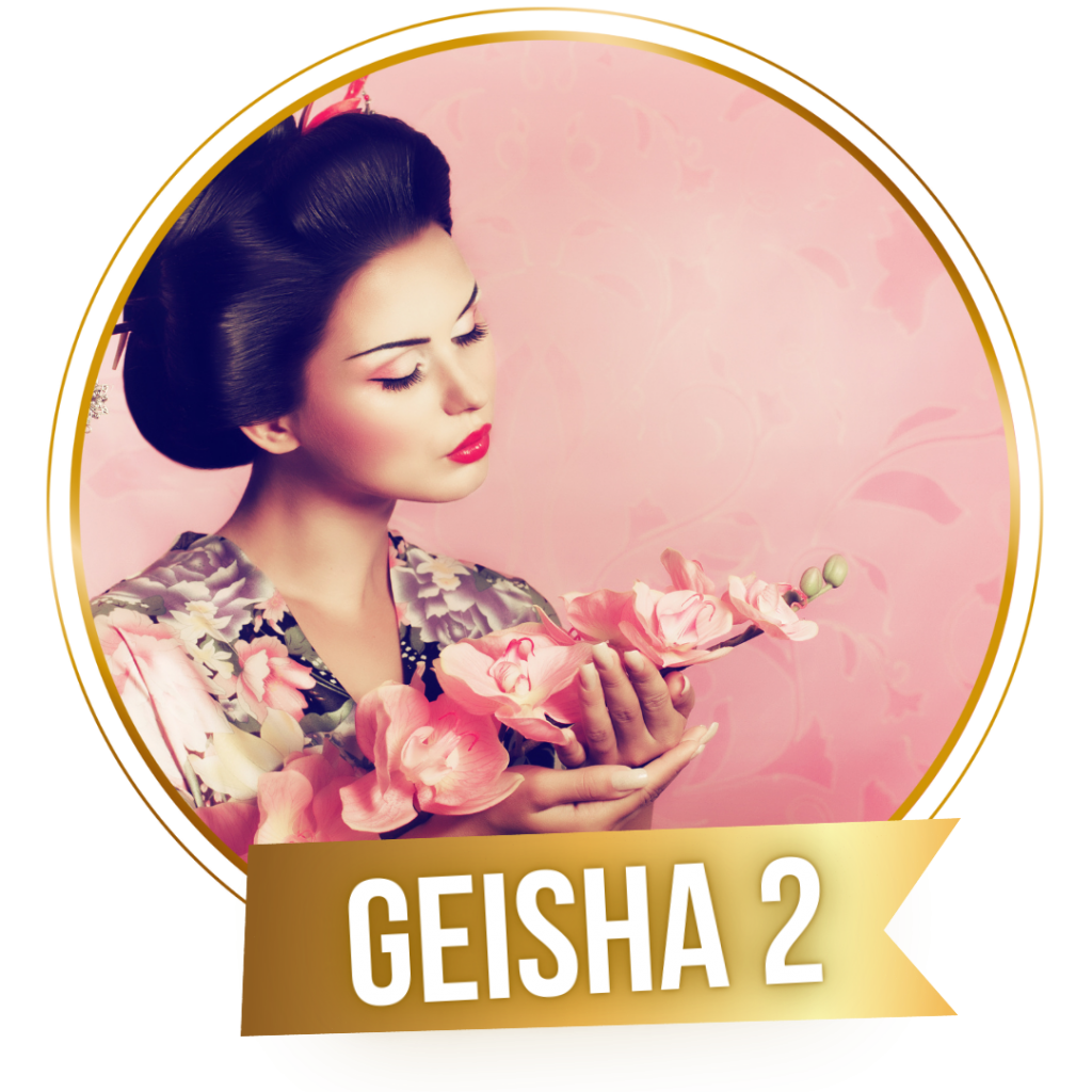 Geisha2