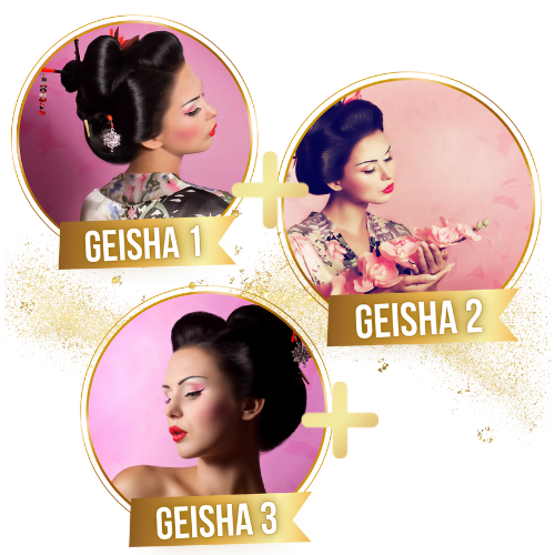 packet-geishi